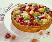 Colourful fruit cake (with berries, kiwi fruit, apricots etc)