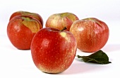 Resi apples