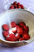 Erdbeeren zuckern