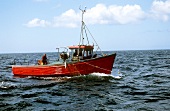 Fishing smack hauling in net full of wild salmon