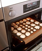 Cinnamon stars & aniseed biscuits (macaroon dough), baking tray
