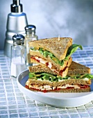 Club sandwich with chicken, lettuce and ketchup