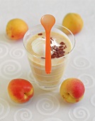 Apricot drink with yoghurt ice cream and grated chocolate