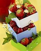 Schachteln mit Erdbeeren und Kirschen zum Verschenken