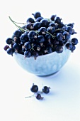 Blackcurrants in a bowl