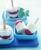 Home-made rhubarb yoghurt ice cream on a stick