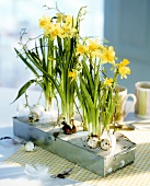 Narcissi with quail's eggs and feathers as table decoration