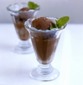 Chocolate ice cream with chocolate sauce