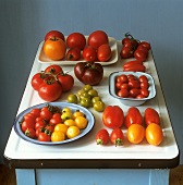 Still life with tomatoes