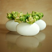 weiße Tulpen in weissen Vasen