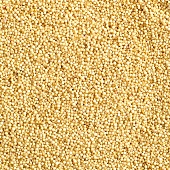 Amaranth, filling the picture