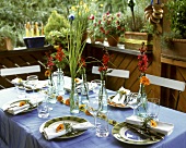 Table laid for summer party or garden party