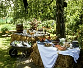 Buffet for a summer party
