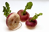 Three white turnips