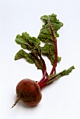 Beetroot