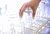 Clean glasses being taken out of dishwasher