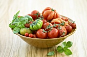 Verschiedene Tomatensorten in einer Schale