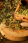 Lightly crushed olives pickled Provencal style