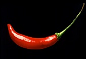 Chili pepper against black background