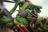 Krabben aus den Mangrovensümpfen auf dem Markt von Conde