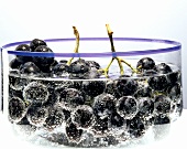 Red grapes in a glass bowl of water