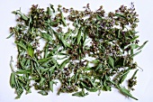 Dried sage and flowers (Salvia officinalis L.)