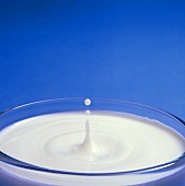 Drop of milk splashing and making circle on surface