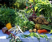 Still life with wild vegetables and vegetables