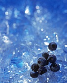 Blueberries on ice