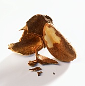 Shelled Brazil nut and shell