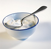 Cultured milk in a bowl and on spoon