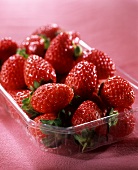 Erdbeeren in einer Platikschale