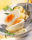 Eier in Estragon-Senf-Sauce