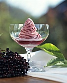 Elderberry cream in dessert glass