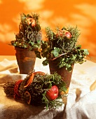 Small Christmas flower arrangements with herbs & apple