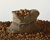 Walnuts in and around jute sack