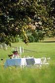 Table laid in white in meadow under chestnut tree