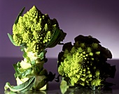 Two heads of Romanesco broccoli