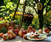 Peaches and nectarines on a wooden table in the garden