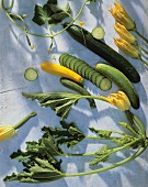 Courgettes, courgette leaves and flowers, cucumbers