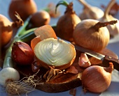 Still life with assorted onion family vegetables