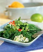 Spinach salad with shrimps