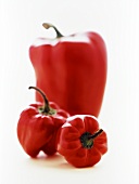 Two red mini-peppers in front of a pepper
