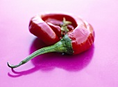 Chili pepper, round