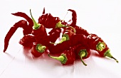 Rote Peperonis (Chillies)