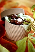 Chocolate chestnuts in a sweet box