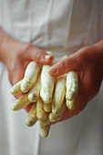 Woman holding asparagus in her hands