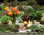 Still life with ingredients for herb dishes