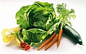 Chiory, lettuce, radishes, carrots, cucumber