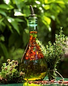 Chili herb oil (suitable for pizza, pasta etc.)